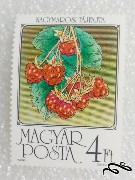 تمبر فوق العاده زیبای 1984 مجارستان تمشک (98)5 F
