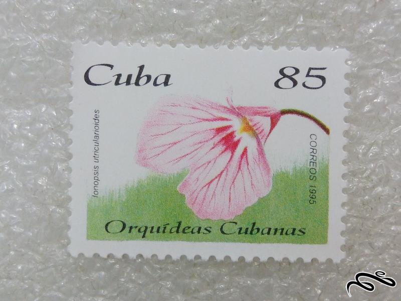 تمبر قدیمی زیبا و یادگاری 1995 کوبا.گل (98)8+