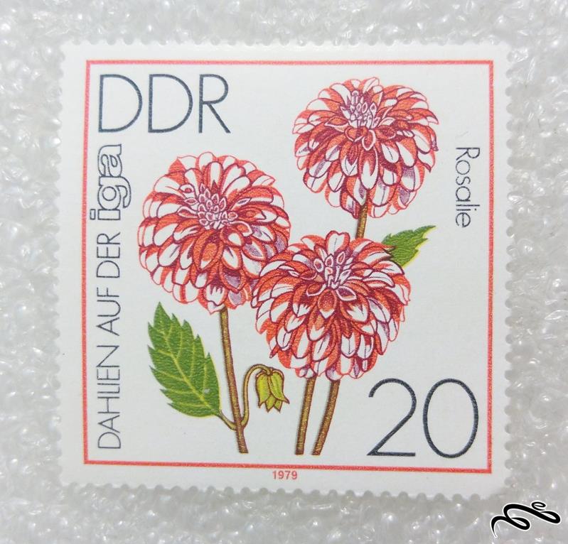 تمبر ارزشمند 1979 المان DDR.گل (98)2