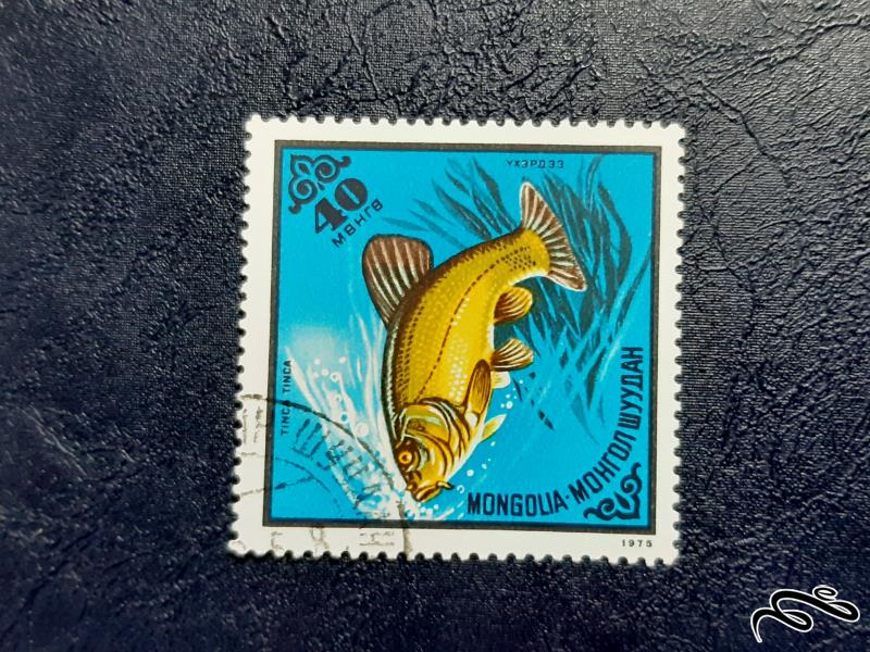 تمبر  ماهی - مغولستان 1975 - سری 1