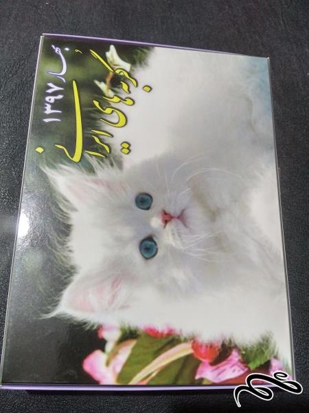 مجموعه کبریت گربه های ایران بهار 97 ساخت توکلی