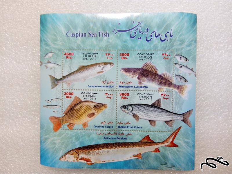 مینی شیت زیبای 1391جمهوری.ماهیهای دریای خزر (02)+