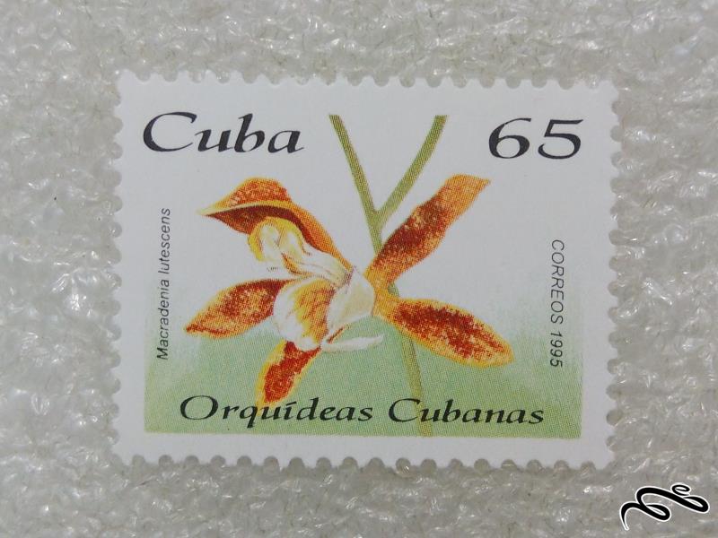تمبر قدیمی زیبا و یادگاری ۱۹۹۵ کوبا.گل (۹۸)۸+