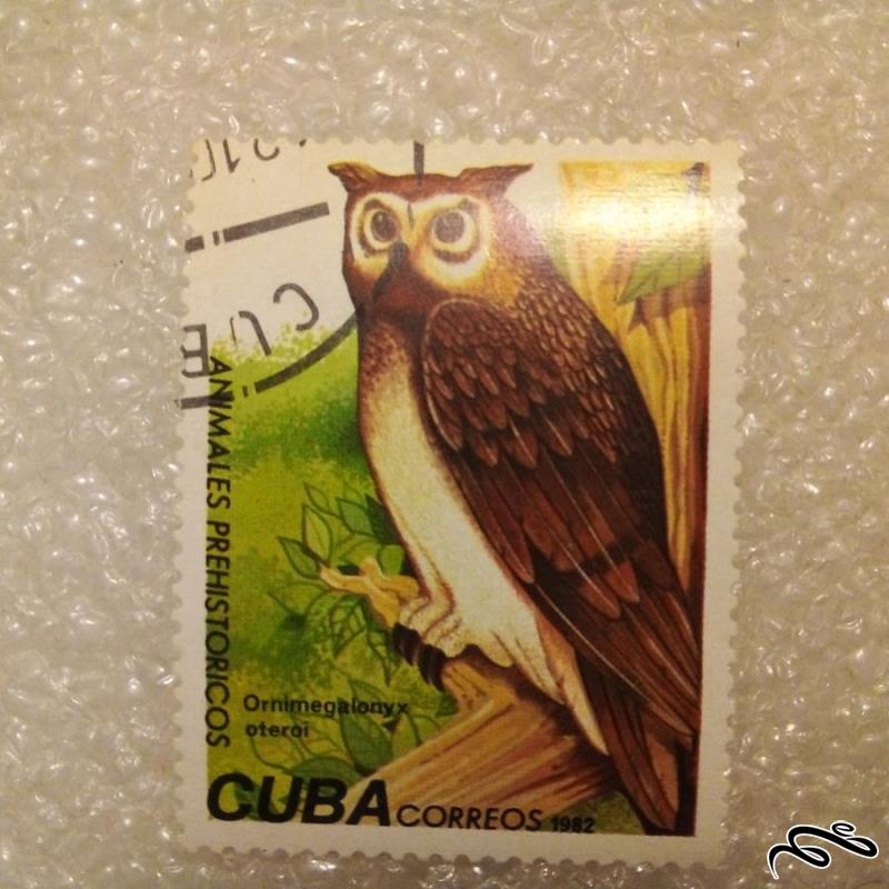 تمبر باارزش قدیمی کوبا 1982 / جغد / گمرکی (92)6