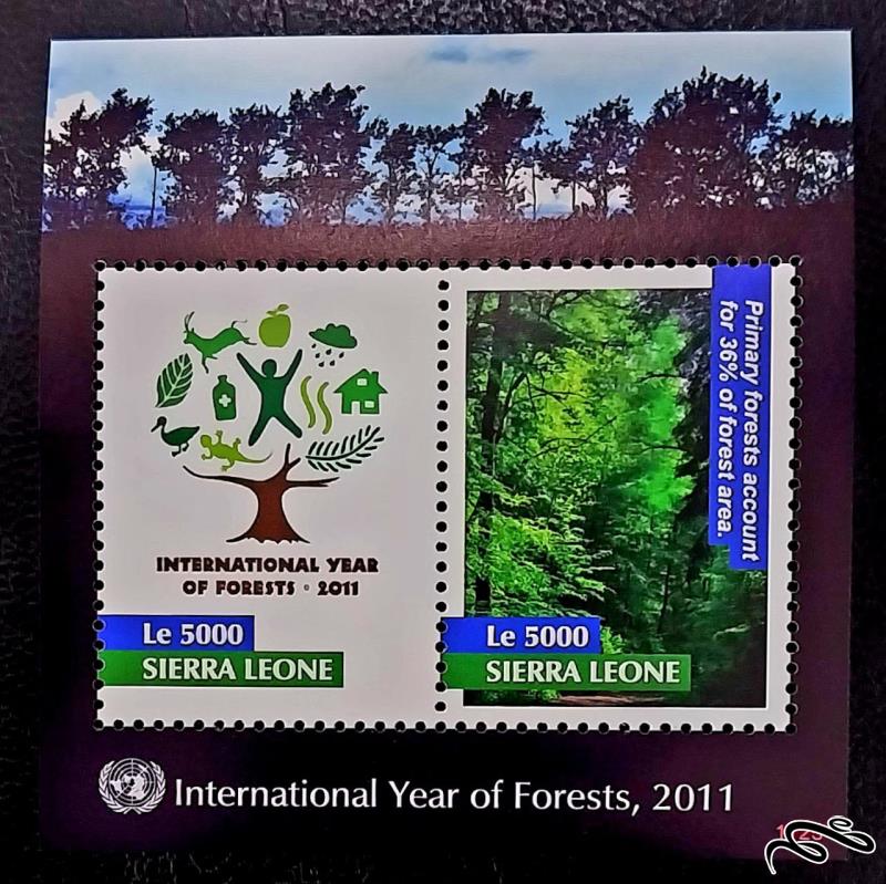 سال بین المللی جنگل ها / سیرالئون 2011
