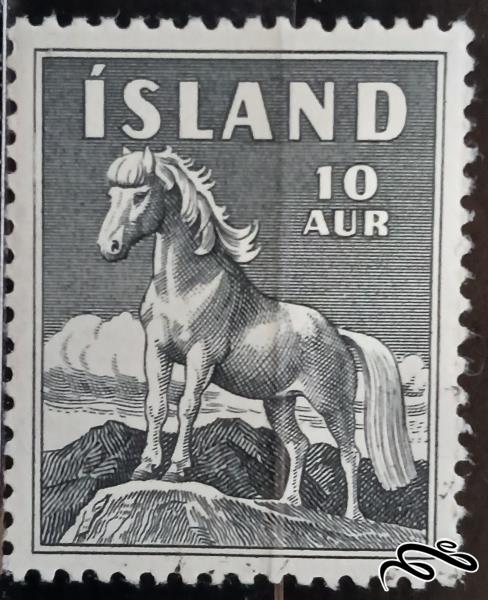 اسب ایسلندی icelandic horse / ایسلند 1958 (equus ferus caballus)
