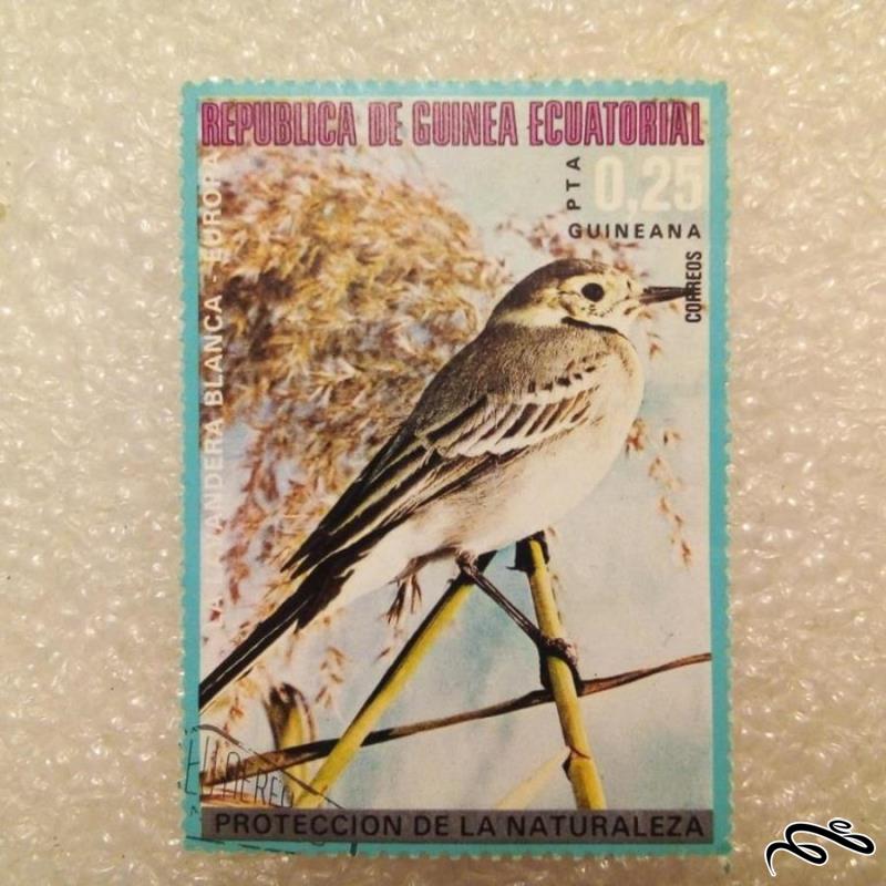 تمبر باارزش قدیمی گینه استوایی . پرنده (93)1