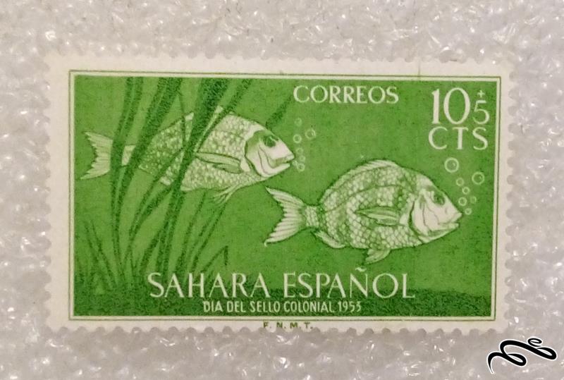 تمبر زیبا و ارزشمند قدیمی صحرا مستعمره اسپانیا (96)3