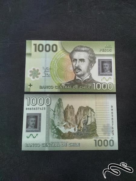 تک 1000 پزو پلیمری شیلی سوپر بانکی 2014