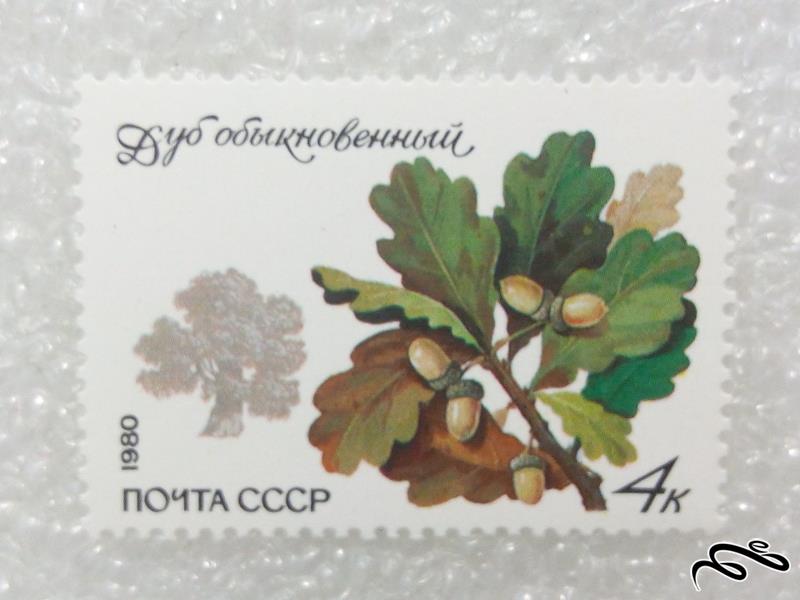 تمبر زیبای 1980 شوروی CCCP.گل (98)4+F