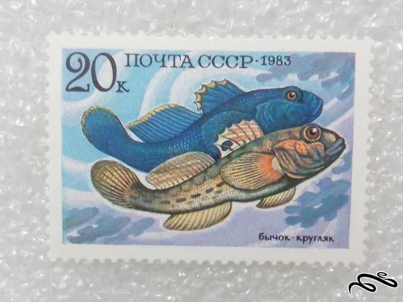 تمبر زیبای ۱۹۸۳ شوروی CCCP.ماهی (۹۸)۵+F