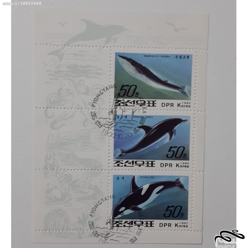 شیت تمبر دلفین و کوسه - کره 1992