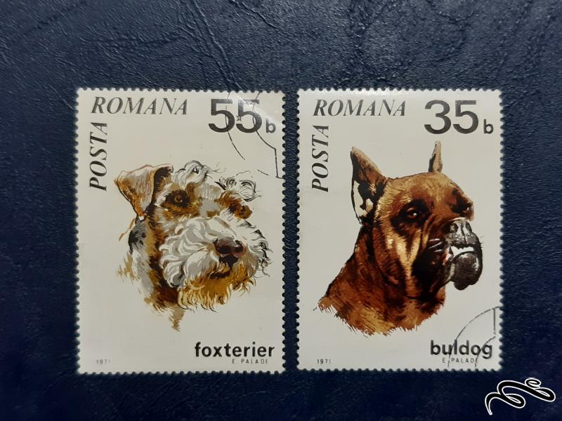 سری تمبر سگ های نژاد بولداگ و فاکس تریر - رومانی 1971