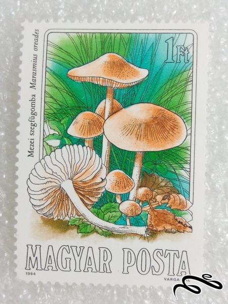 تمبر فوق العاده زیبای ۱۹۸۴ مجارستان.قارچ (۹۸)۵ F