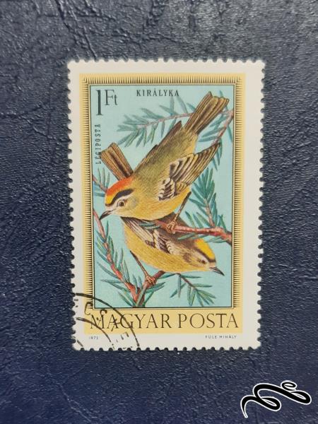 تمبر  پرندگان - مجارستان 1973