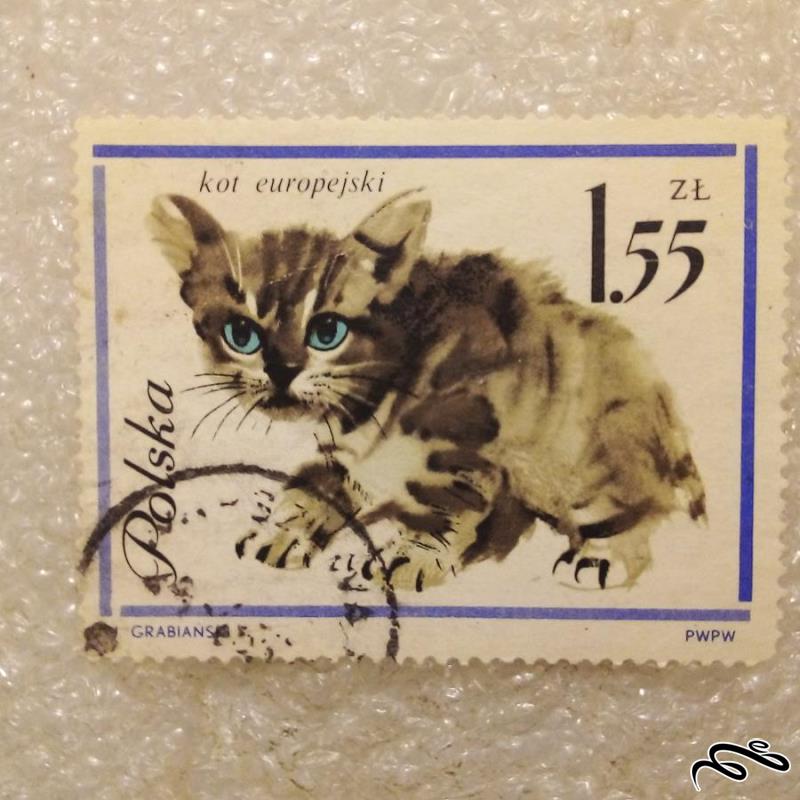 تمبر زیبای قدیمی لهستان PWPW . گربه (۹۲)۳