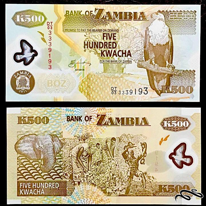 تک برگ بانکی 500 کواچا زامبیا سری پلیمری