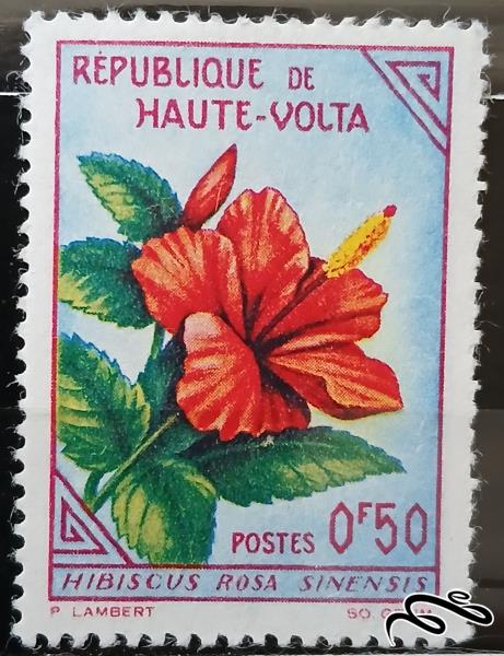 گل ختمی / ولتای علیا (بورکینافاسو) 1963