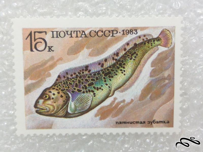 تمبر زیبای 1983 شوروی CCCP.ماهی (98)5+F