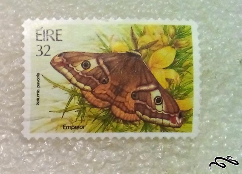 تمبر باارزش کلاسیک قدیمی ایرلند . پروانه (95)1