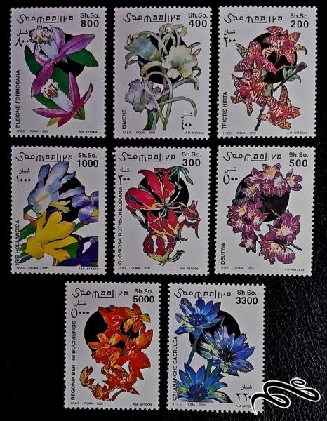 شکوفه می دهد blossoms / سومالی 2002