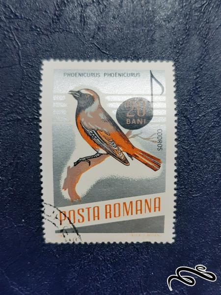 تمبر  پرنده - رومانی