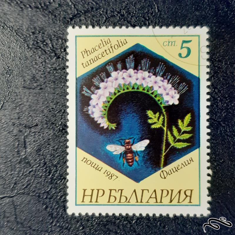 تمبر  بلغارستان - 1987 سری 3