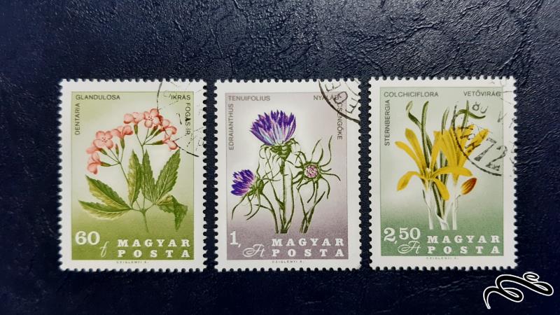سری تمبرهای گل -  مجارستان 1972