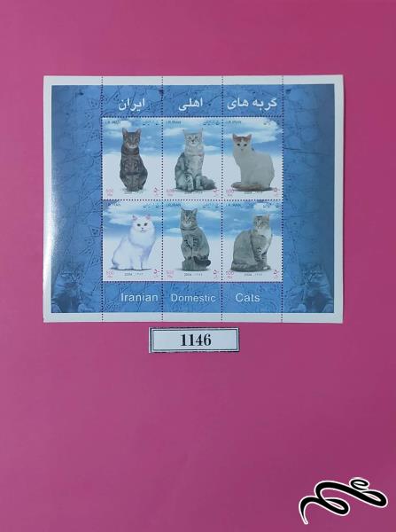 مینی شیت گربه های اهلی ایران