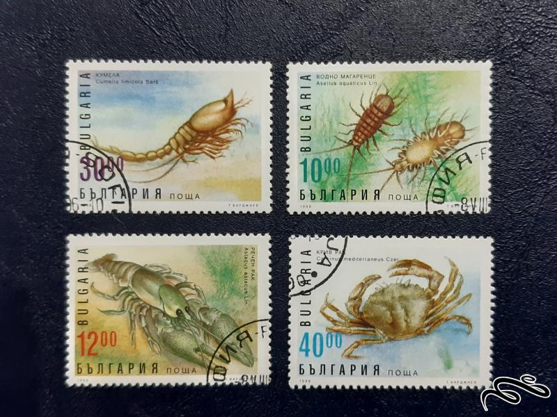 سری تمبر های  حشرات- مجارستان 1996