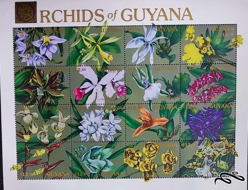 ارکیده ها orchids / گویان 1990