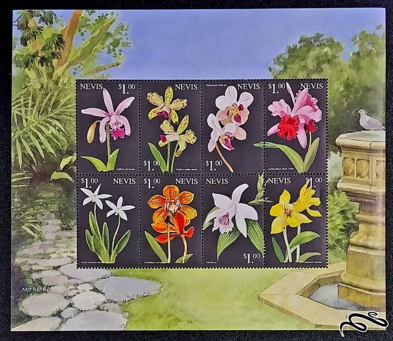 ارکیده ها orchids / نویس 1999
