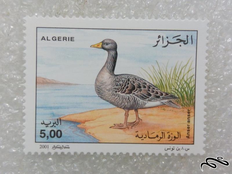 تمبر ارزشمند ۲۰۰۱ الجزایر اردک (۹۷)۷