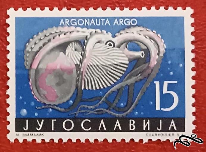 تمبر باارزش کمیاب یوگوسلاوی 1956 جانور دریایی (92)7