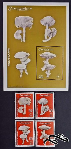 قارچ / سومالی 2002