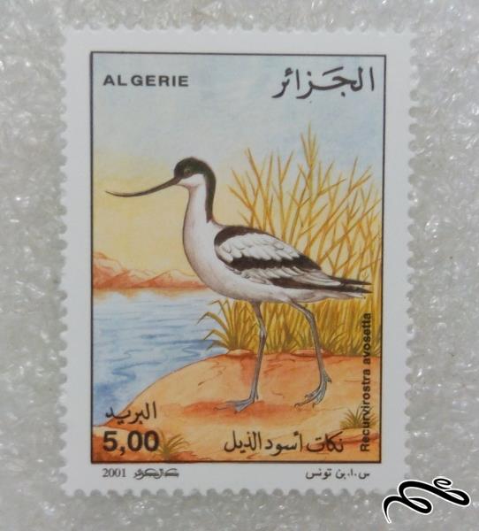 تمبر ارزشمند 2001 الجزایر اردک (97)7