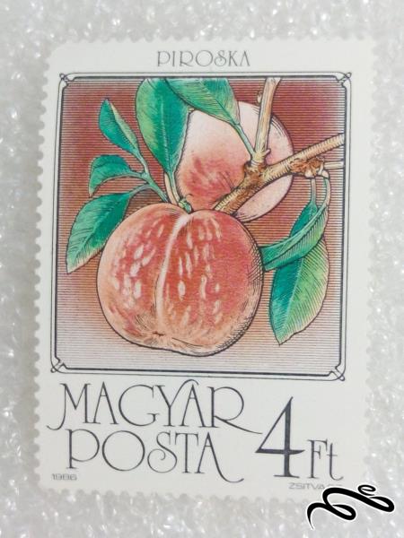 تمبر فوق العاده زیبای ۱۹۸۴ مجارستان میوه (۹۸)۵ F