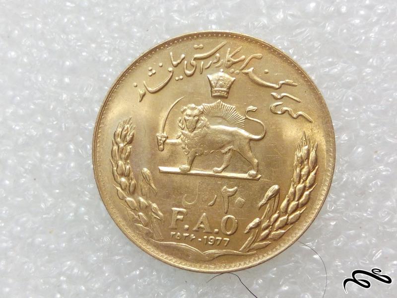سکه زیبای20ریال فائو 2536 پهلوی روکش اب طلا(3)322