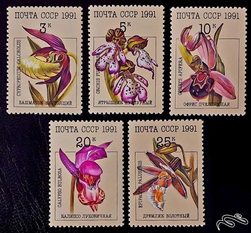 ارکیده ها orchids / شوروی 1991