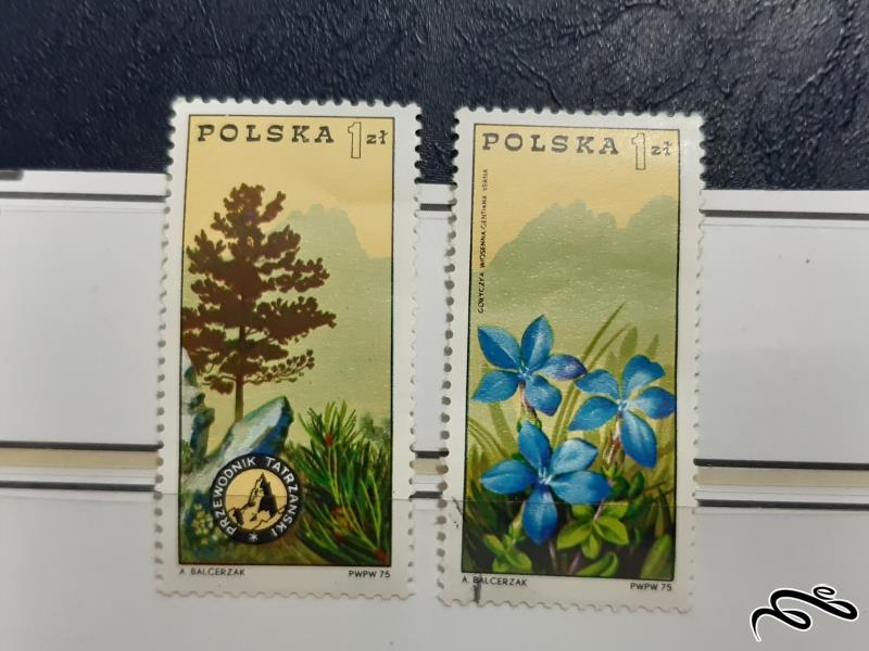سری  تمبرهای  لهستان - 1975
