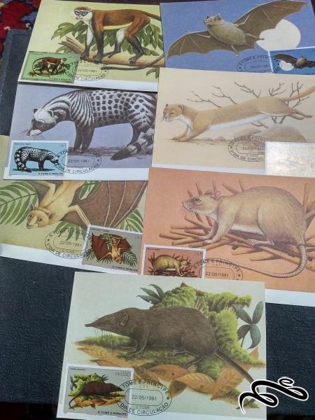 7 کارت ماکزیمافیلی حیوانات از گونه پستانداران چاپ سنت تومئه پرنسیب افریقا