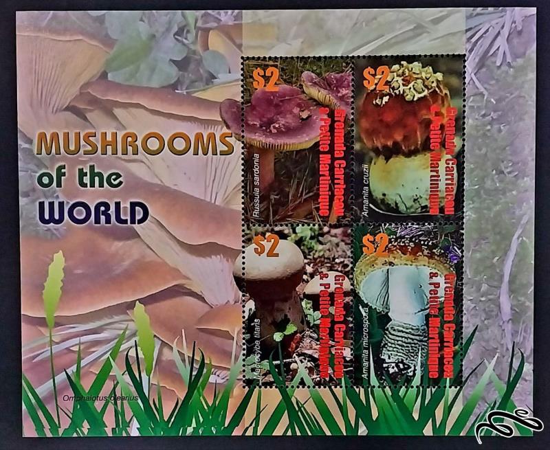 قارچ های جهان / گرانادا مارتینیک 2007