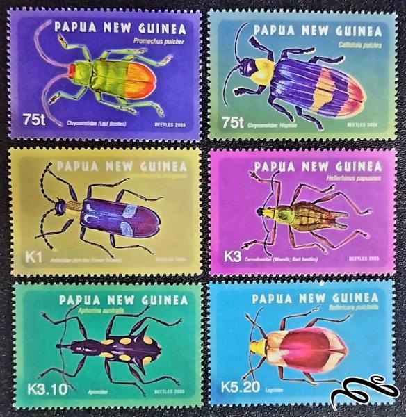 سوسک ها beetles / پاپوا گینه نو 2005