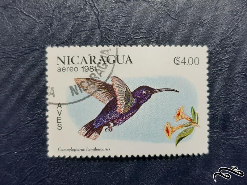 تمبر  نیکاراگوئه- 1981