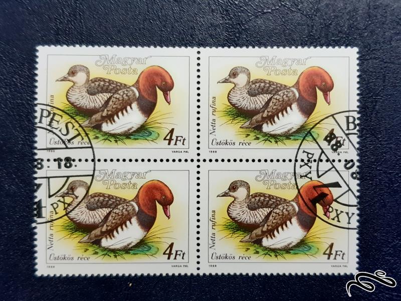 بلوک تمبر  اردک - مجارستان 1988 سری 1
