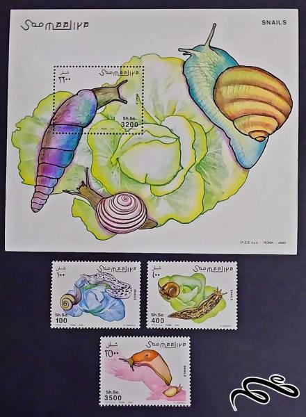 حلزون ها snails / سومالی 2003