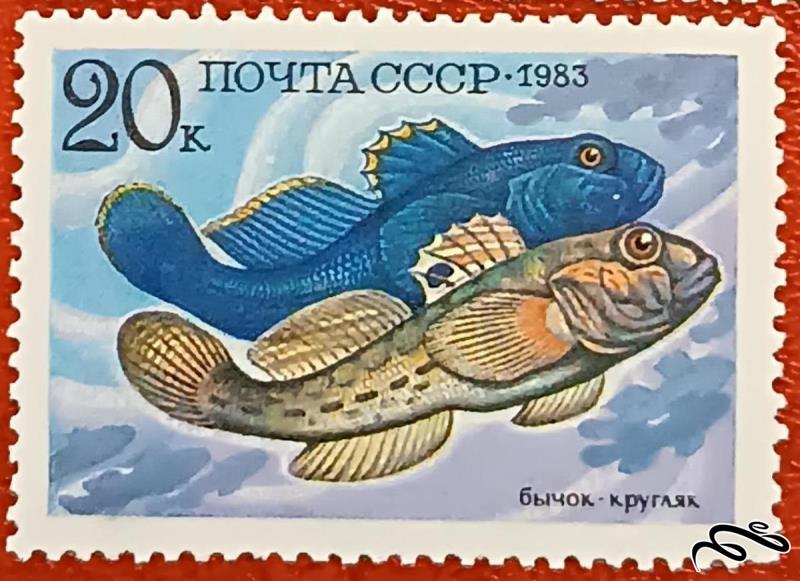 تمبر باارزش قدیمی 1983 شوروی CCCP . ماهی (92)0