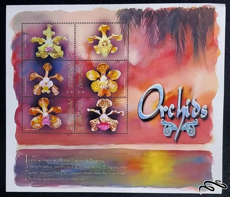 ارکیده ها orchids / گرانادا کاریاکو 2001