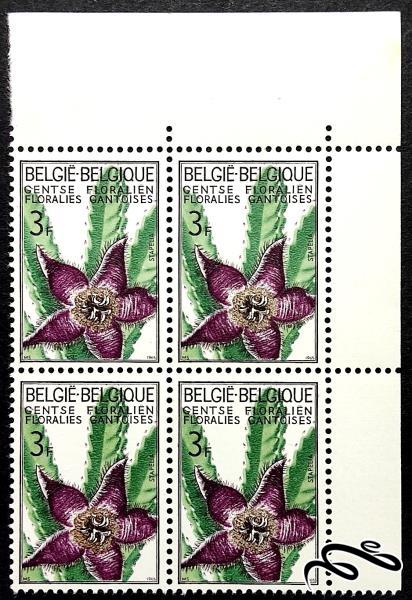 بلوک تمبر گوشه ورق باارزش ۱۹۶۵ بلژیک . گل (۰۰)+