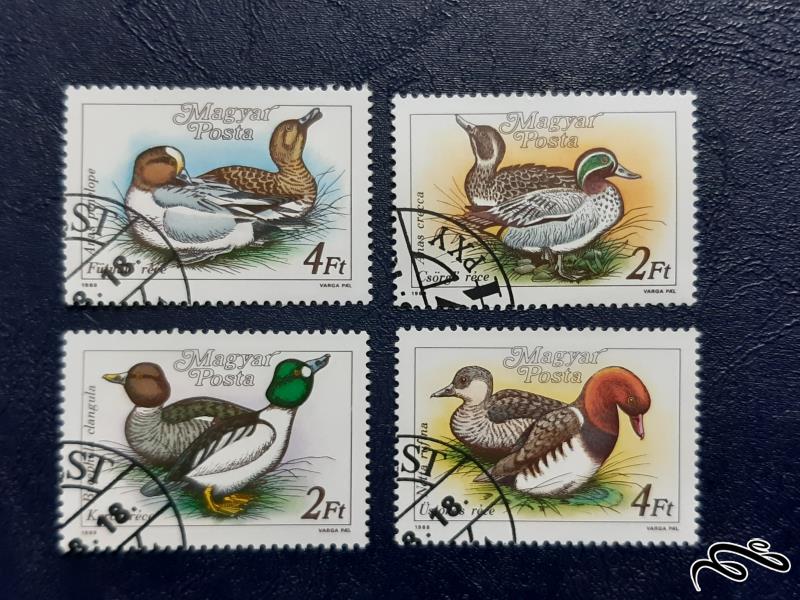 سری تمبر های  اردک - مجارستان 1988